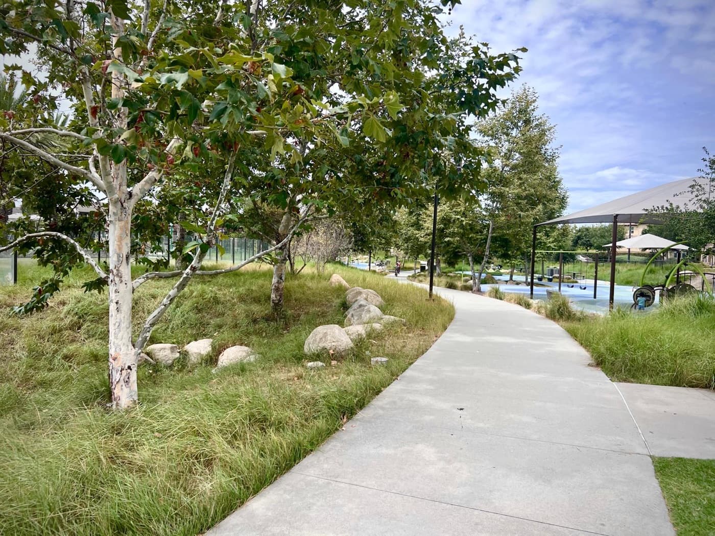 The tree-lined path through Ron Foell Park, with the splash pad in the background